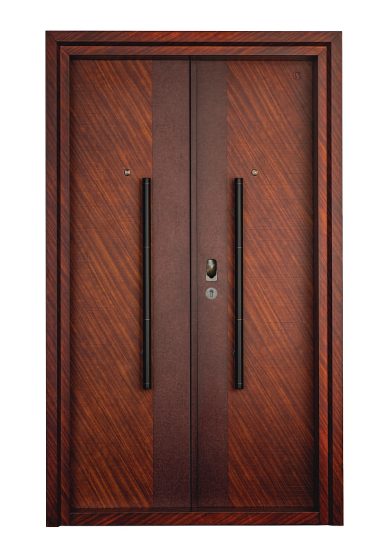 Wood Finish Steel Doors