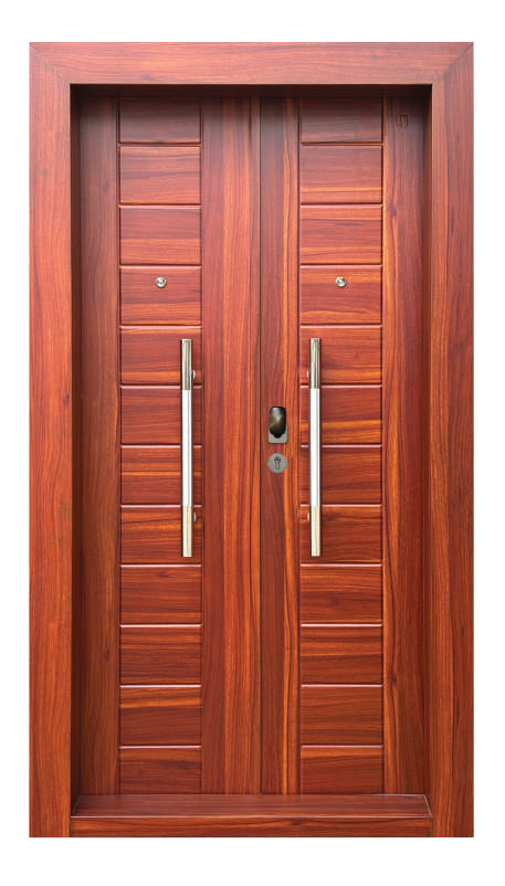 SD 40 Premium Steel Door
