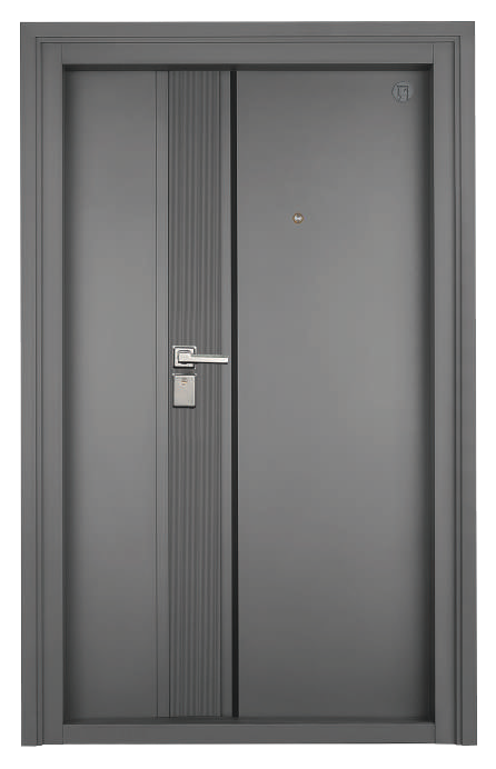 Modern Steel Doors