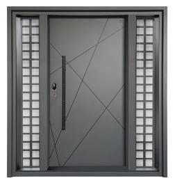 Smart Lock Steel Doors