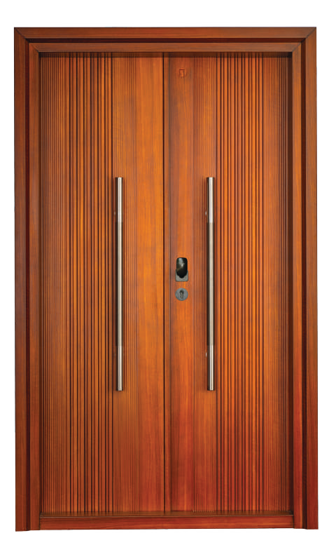 SD 71 Premium Steel Door